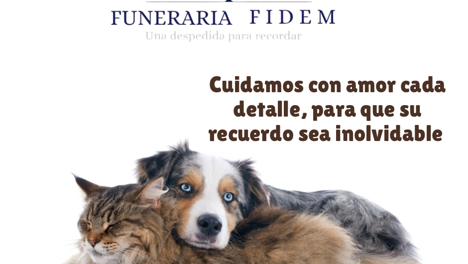 Funeraria Funeraria FIDEM